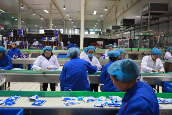 党员带头赴一线  助力春节保生产—米兰(中国)别样“生产突击队”助力车间生产 党员带头赴一线  助力春节保生产—米兰(中国)别样“生产突击队”助力车间生产