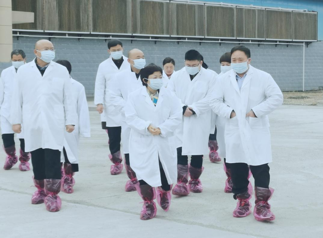 河南省郑州市人民政府副市长李凤芝一行莅临米兰（中国）河南瑞亚参观调研