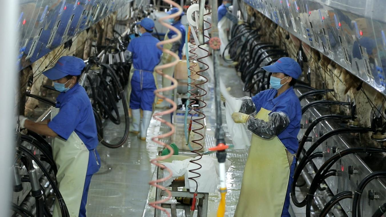 米兰（中国）丨河南农业大学党委副书记、校长介晓磊一行莅临米兰（中国）河南瑞亚参观调研