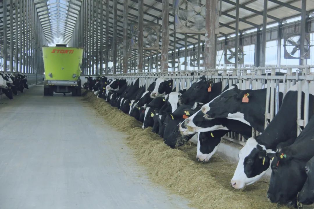 米兰（中国）丨驻马店市遂平县政协党组书记、主席张卫东一行莅临米兰（中国）鲁山瑞亚牧场参观