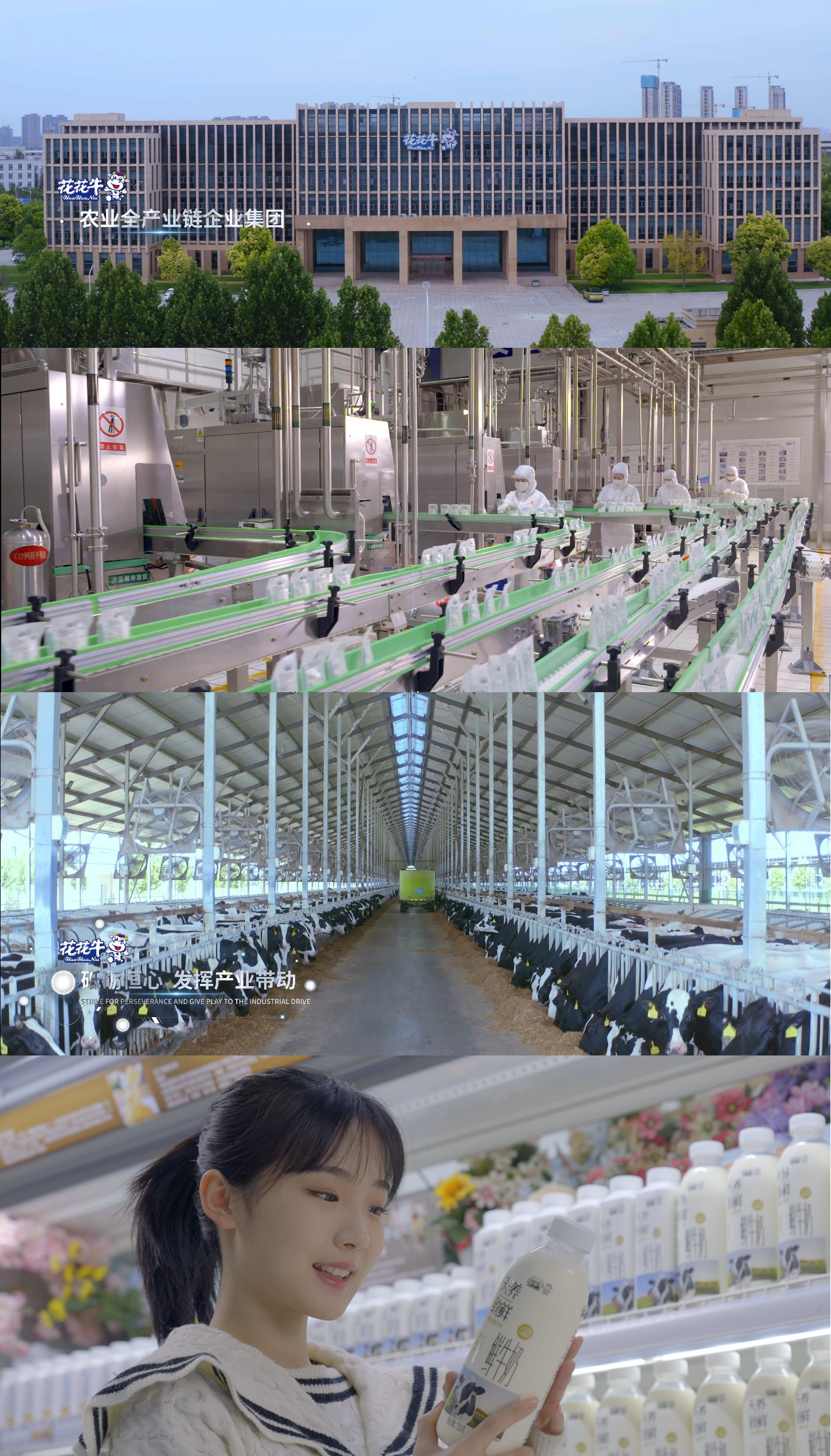 快讯 | 沈阳市政府副市长郑滨一行莅临米兰(中国)乳业集团考察 快讯 | 沈阳市政府副市长郑滨一行莅临米兰(中国)乳业集团考察