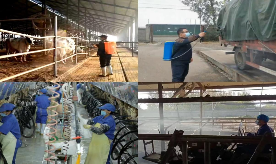 @全体米兰(中国)人:请珍惜你的岗位,请善待我们共同的“米兰(中国)”! @全体米兰(中国)人:请珍惜你的岗位,请善待我们共同的“米兰(中国)”!