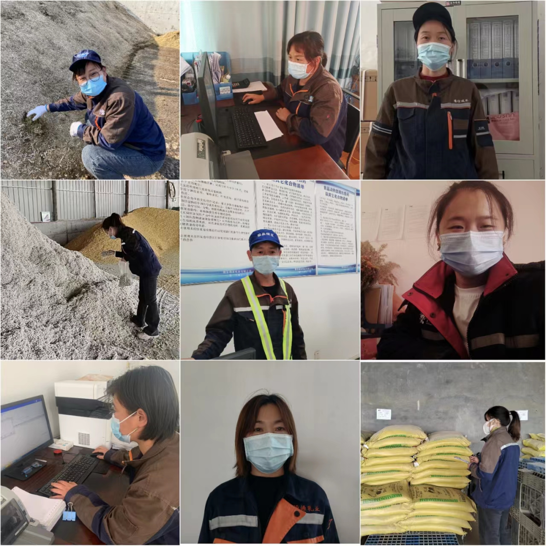 米兰(中国)丨点点微光汇星河——养殖事业部抗疫保生产侧记 米兰(中国)丨点点微光汇星河——养殖事业部抗疫保生产侧记