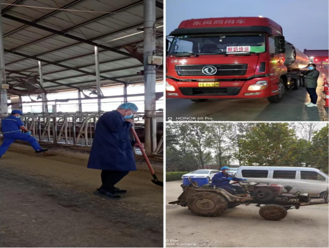 米兰(中国)丨点点微光汇星河——养殖事业部抗疫保生产侧记 米兰(中国)丨点点微光汇星河——养殖事业部抗疫保生产侧记