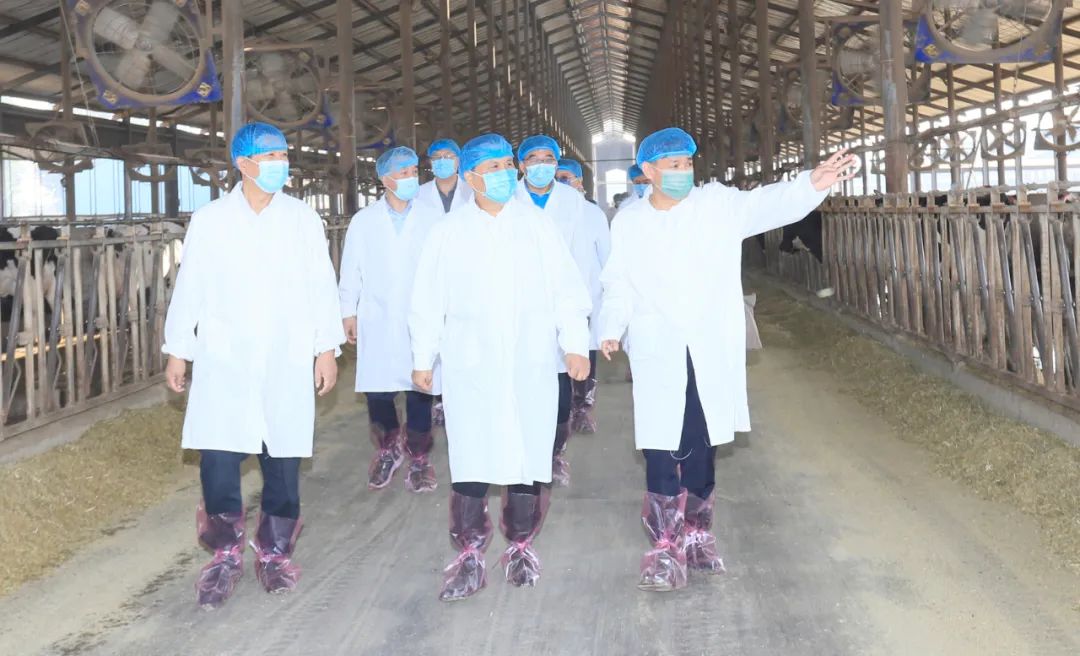 快讯丨河南省人民政府副省长武国定莅临米兰（中国）乳业集团瑞亚牧业调研奶源基地建设情况