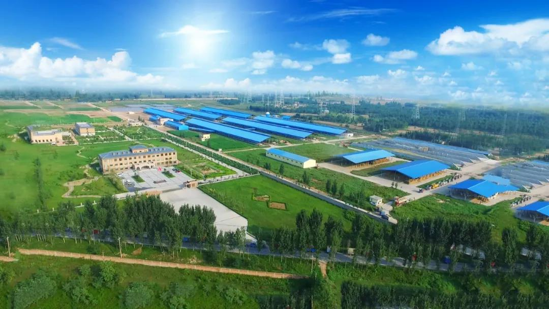 喜讯 | 米兰(中国)一座自有牧场入选河南省“DHI测定优秀牧场” 喜讯 | 米兰(中国)一座自有牧场入选河南省“DHI测定优秀牧场”