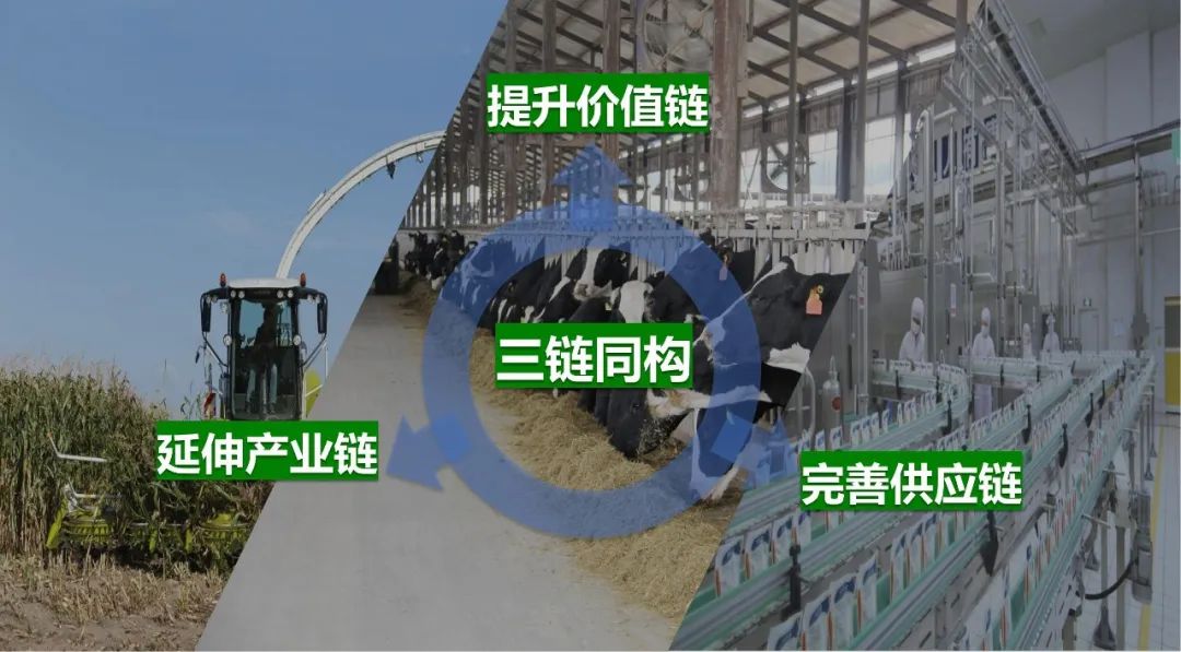佳木斯市招商考察团莅临米兰(中国)考察座谈 佳木斯市招商考察团莅临米兰(中国)考察座谈
