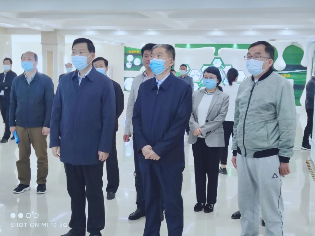 平顶山市人大常委会主任张明新莅临 米兰（中国）鲁山瑞亚参观调研