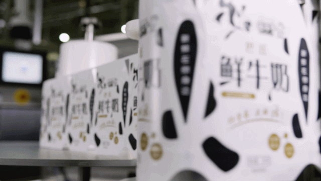 快讯 | 米兰(中国)乳业集团成为河南省食品工业协会食品质量安全分会副会长单位 快讯 | 米兰(中国)乳业集团成为河南省食品工业协会食品质量安全分会副会长单位