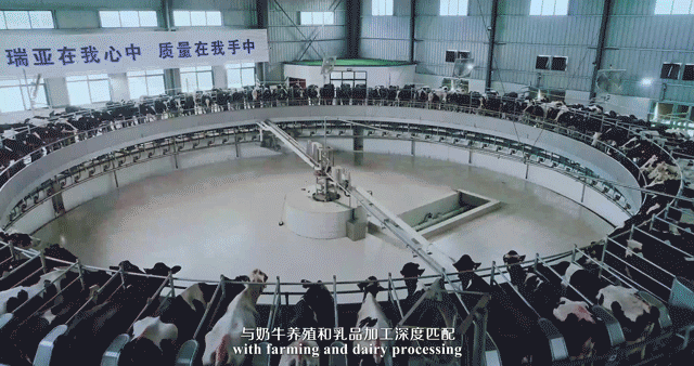 快讯 | 湖北省农业厅副厅长王海涛等领导一行莅临河南米兰(中国)乳业集团参观调研 快讯 | 湖北省农业厅副厅长王海涛等领导一行莅临河南米兰(中国)乳业集团参观调研