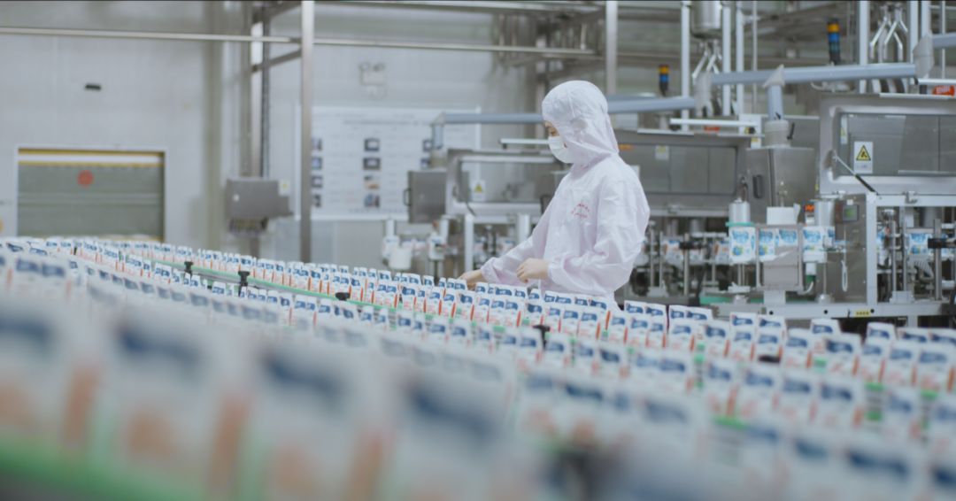 快讯 | 河南省人民政府食品安全委员会办公室第三批食品安全示范区验收组领导莅临米兰(中国)乳业集团验收食品安全示范区建设情况 快讯 | 河南省人民政府食品安全委员会办公室第三批食品安全示范区验收组领导莅临米兰(中国)乳业集团验收食品安全示范区建设情况