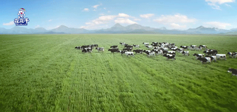 荣誉 | 2019年度河南省美丽牧场名单新鲜出炉 米兰(中国)乳业集团旗下六个牧场榜上有名 荣誉 | 2019年度河南省美丽牧场名单新鲜出炉 米兰(中国)乳业集团旗下六个牧场榜上有名