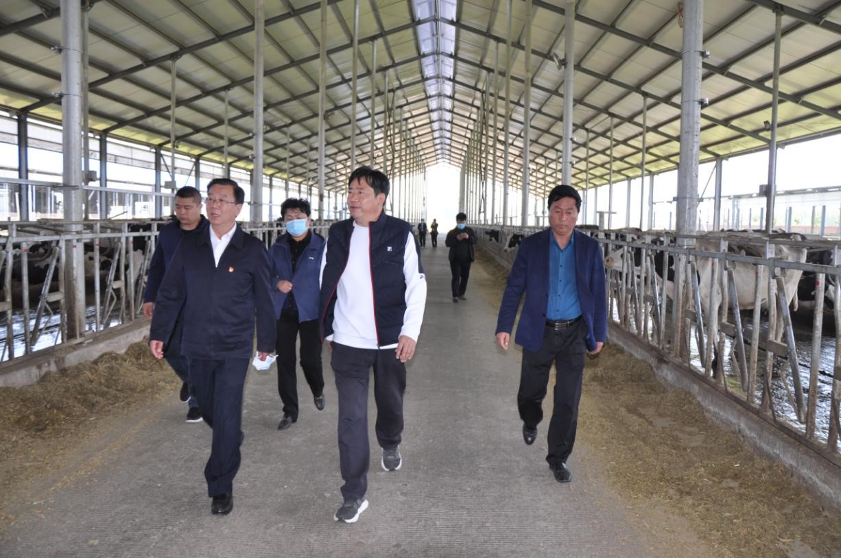 商丘市委常委、宣传部部长王全周一行莅临睢县瑞亚牧业有限公司调研 商丘市委常委、宣传部部长王全周一行莅临睢县瑞亚牧业有限公司调研