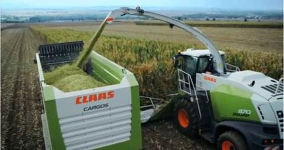 米兰站·官方端网站 2020年玉米青贮采购信息 米兰站·官方端网站 2020年玉米青贮采购信息