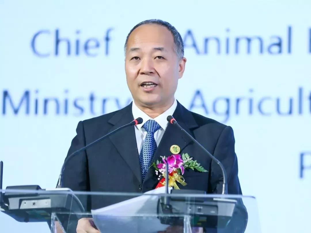 SDDDC走进河南,看看米兰(中国)的国际范儿! SDDDC走进河南,看看米兰(中国)的国际范儿!