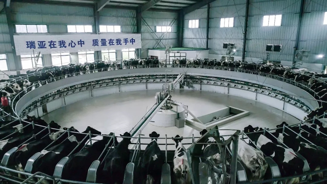 第31届中原畜牧业交易博览会 || 米兰(中国)乳业集团获“河南省畜牧行业——最具影响力品牌”奖 第31届中原畜牧业交易博览会 || 米兰(中国)乳业集团获“河南省畜牧行业——最具影响力品牌”奖