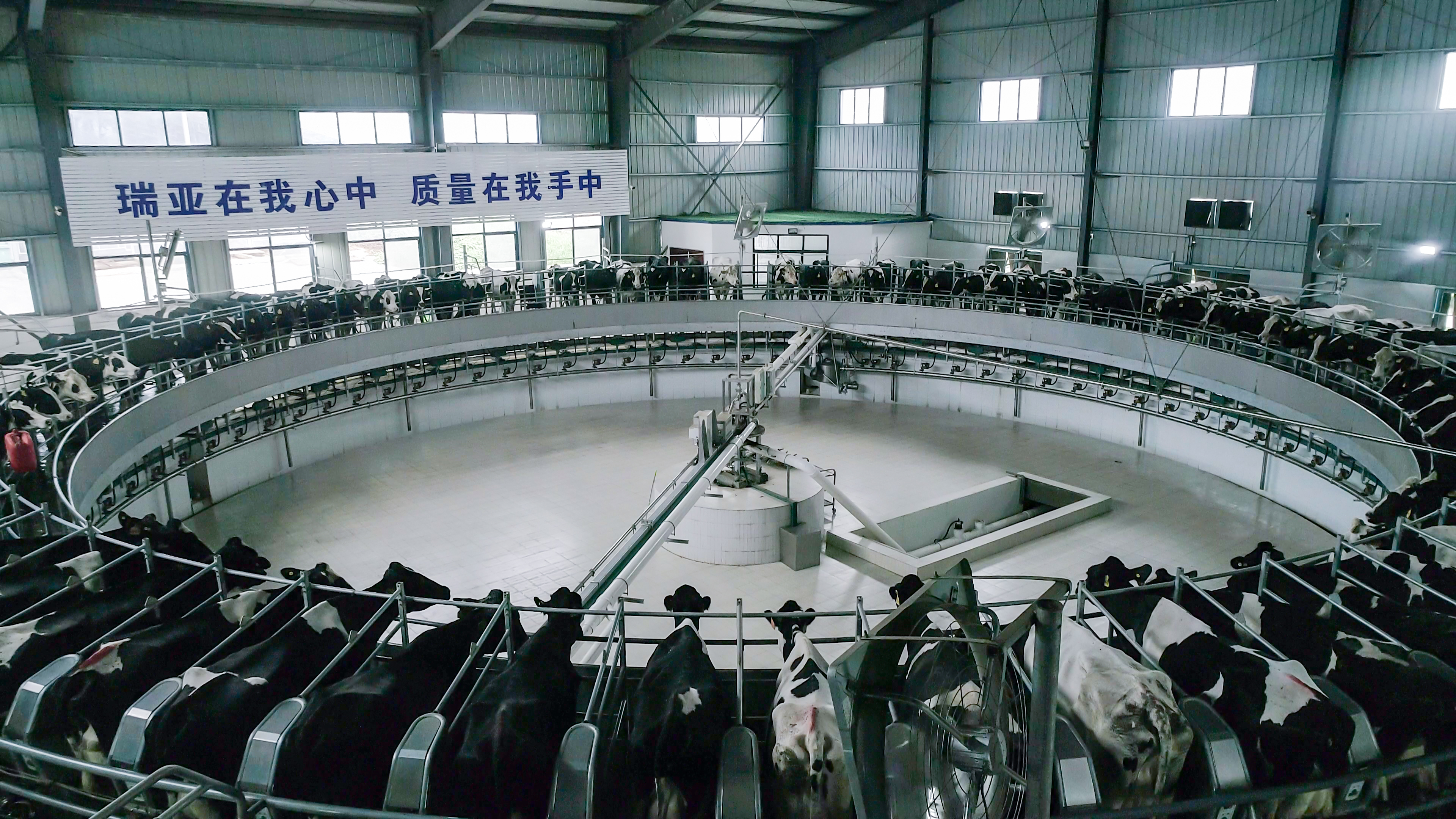 河南省委常委、组织部部长孔昌生 莅临河南米兰(中国)集团鲁山瑞亚牧业有限公司调研 河南省委常委、组织部部长孔昌生 莅临河南米兰(中国)集团鲁山瑞亚牧业有限公司调研