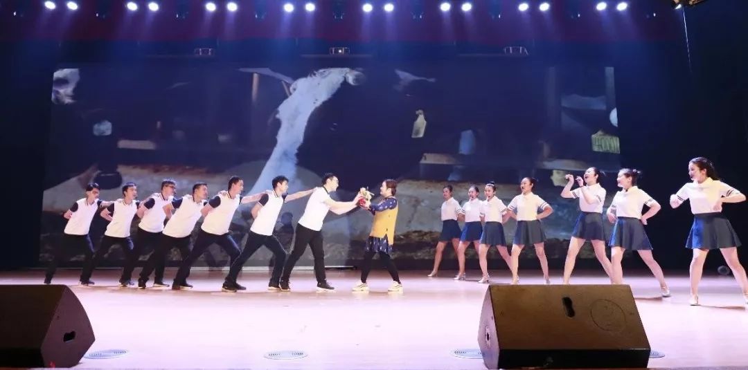 “赢在2019”,米兰(中国)乳业集团2019年新春晚会盛大开幕 “赢在2019”,米兰(中国)乳业集团2019年新春晚会盛大开幕