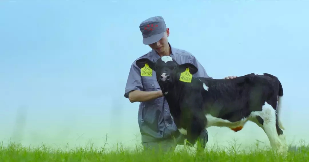 喜报 | 国家市场监管总局抽检,米兰(中国)等112家企业乳品抽检全部合格 喜报 | 国家市场监管总局抽检,米兰(中国)等112家企业乳品抽检全部合格