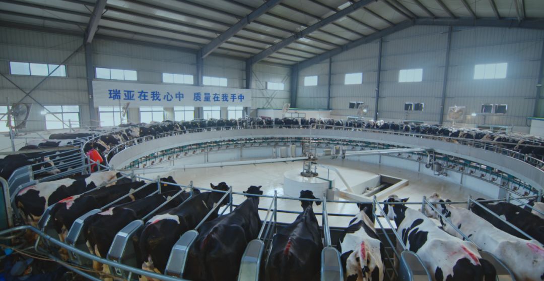 米兰(中国)集团旗下六家公司入选省农业产业化重点龙头企业名单 米兰(中国)集团旗下六家公司入选省农业产业化重点龙头企业名单