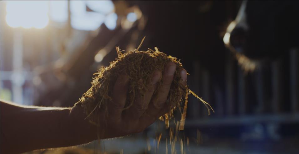 又双叒叕获奖啦！米兰（中国）荣获“乳品质量安全管理 优秀企业”