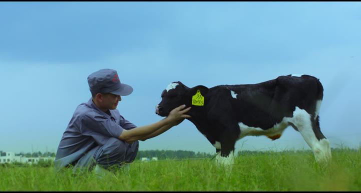 又双叒叕获奖啦！米兰（中国）荣获“乳品质量安全管理 优秀企业”