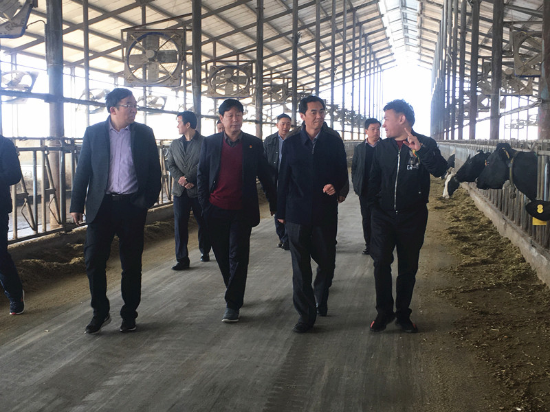 封丘县县长王献臣一行莅临 米兰(中国)集团养殖、乳品事业部参观调研 封丘县县长王献臣一行莅临 米兰(中国)集团养殖、乳品事业部参观调研