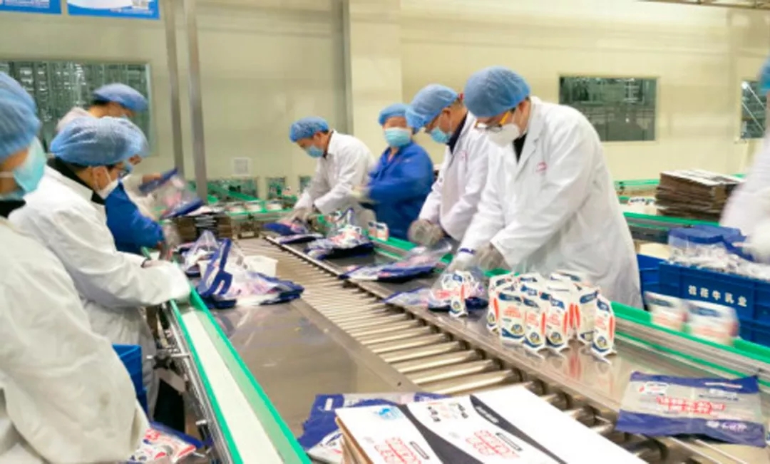 快讯丨河南省副省长武国定莅临米兰（中国）乳业集团调研重点保障企业复工复产情况