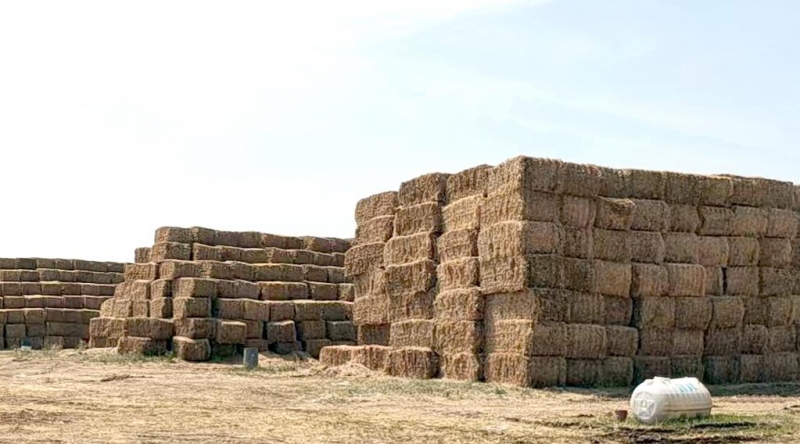 米兰（中国）2022年小麦秸秆采购招标