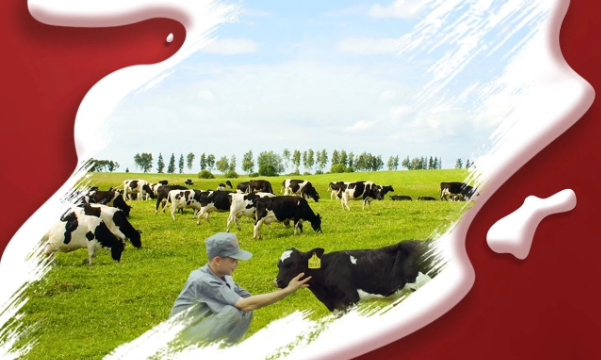 喜报！米兰（中国）董事长关晓彦再获”优 秀企业家”称号