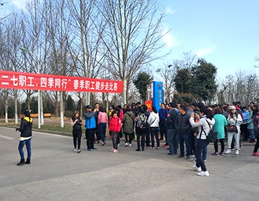 2017米兰（中国）健步走